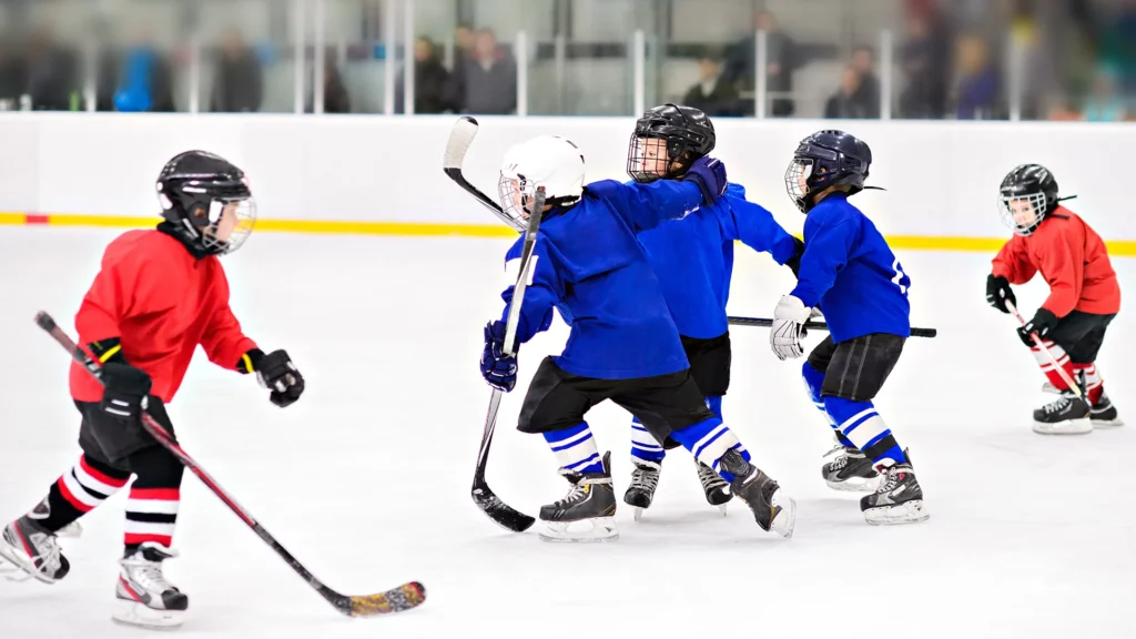 Nepean Minor Hockey Association